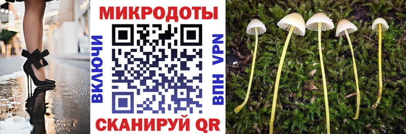 OMG зеркало  Дно  Псилоцибиновые грибы Psilocybine cubensis 