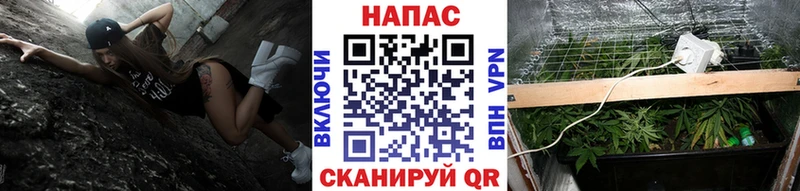 купить наркоту  Дно  Бошки Шишки AK-47 